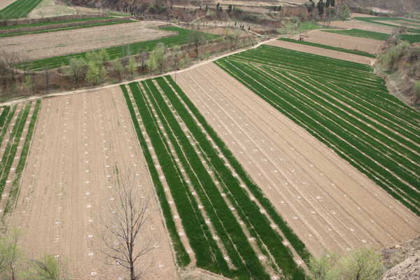 20114208540399 20114208540399