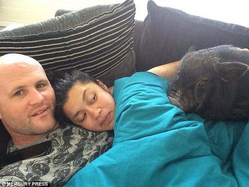 路易最喜欢的事就是和丹尼、艾玛一起躺在沙发上看电视。它通?；嵋蕾嗽谥魅嗣巧砩?，十分享受。