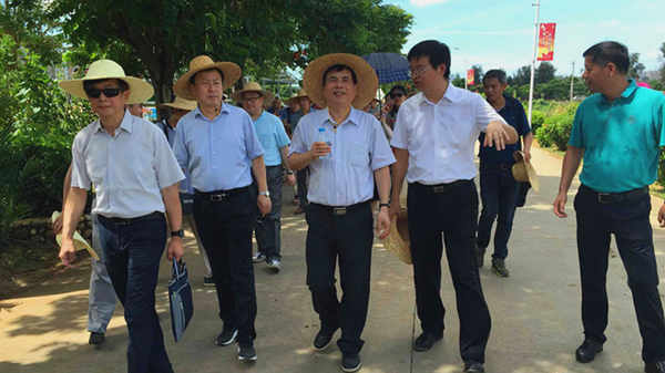 W020160701599876771550 W020160701599876771550