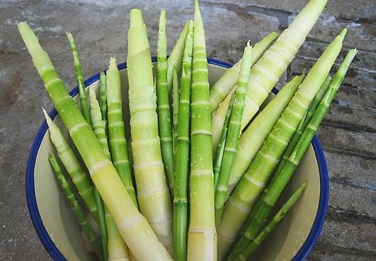 夏天吃竹笋好处多 推荐2款美味吃法