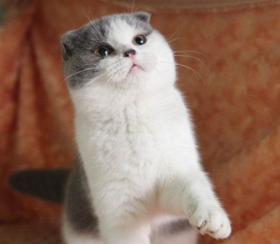 8d1d581089e9cd0a_2 8d1d581089e9cd0a_2