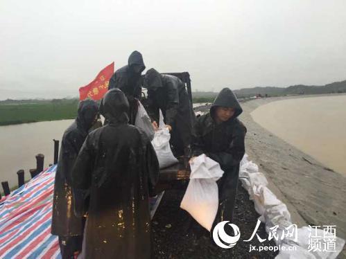 江西共青城汛情严峻 部分危旧房住户被劝离