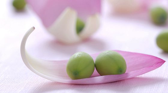 MAIN201607061107430652856054419 MAIN201607061107430652856054419