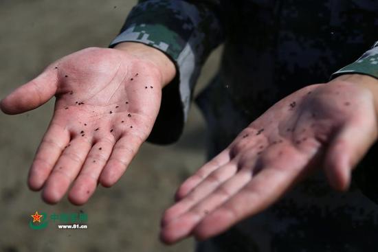 战蚊虫，这并不夸张，因为在这里一巴掌拍死50多只蚊子是常有的事儿。