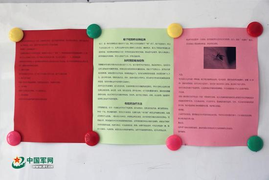 北湾边防连营区不同于别的营区，连队大厅内张贴的防蚊知识赫然醒目。