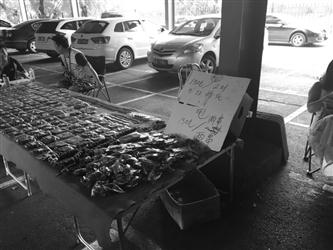 　　鲁园古玩城内一个卖核桃和金刚的摊位上立着“150元两件甩货”的牌子。摊主面露难色地　告诉记者，甩货的是去年剩的金刚和核桃，当时都是卖三四百元的东西。辽沈晚报、聊沈客户端记者　谭珊珊　摄