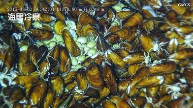 我国在南海发现新的巨型“可燃冰”分布区