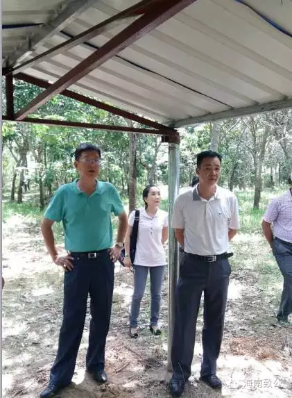 W020160706622351234902