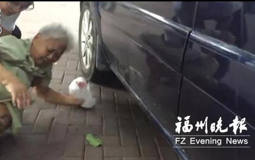 现实版《扶不扶》在榕上演司机先录像再救助老人