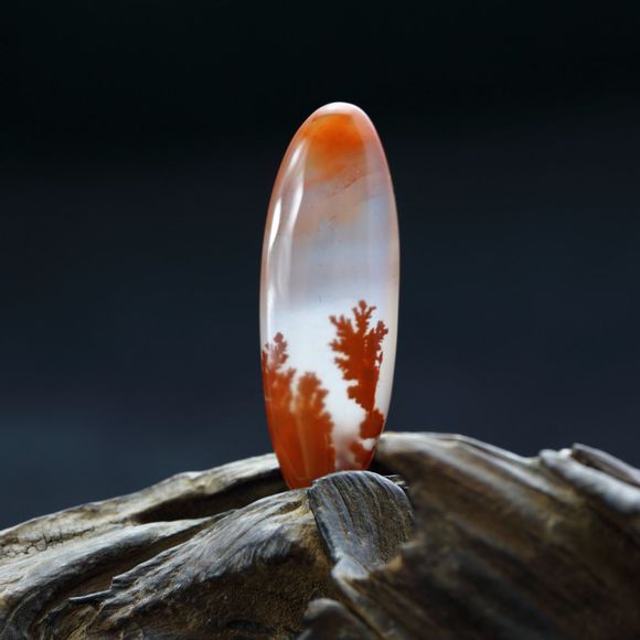 9925bc315c6034a8c3c3730ec913495409237618 9925bc315c6034a8c3c3730ec913495409237618