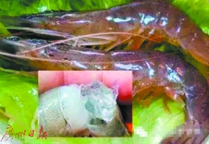 5934987629624693324 5934987629624693324