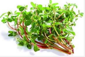 夏季高血压患者吃什么好 推荐6种时令蔬果