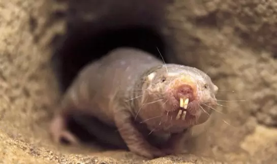 癌症等于死刑判决?9个你不知道的癌症知识