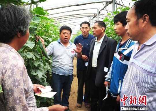 河南残疾人创业成“黄瓜大王”带动百名残友共同致富