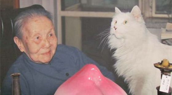 MAIN201607131040520229567564044 MAIN201607131040520229567564044