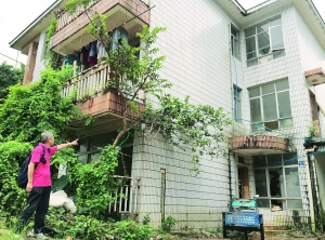 图片　　金伯告诉记者，新别墅建好后他在阳台前种了棵番石榴树。如今树已长成，但金伯却依然未能收楼入住。