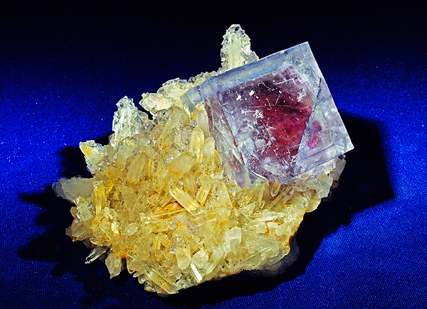 1154493363 1154493363