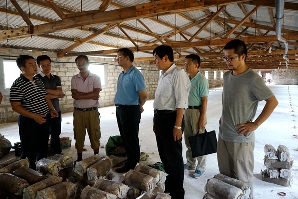 20160713171546535233 20160713171546535233