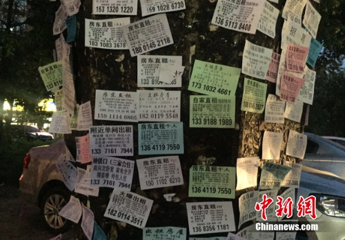 立水桥地铁站附近张贴涨路边的租房信息。<a target='_blank' href='http://www.chinanews.com/' >中新网</a> 马榕 摄