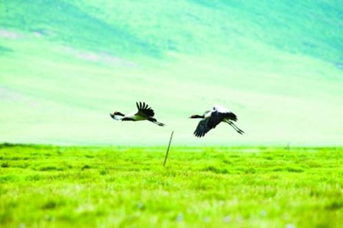 b075fe1678064c46b2ac219bd5d09a74 b075fe1678064c46b2ac219bd5d09a74