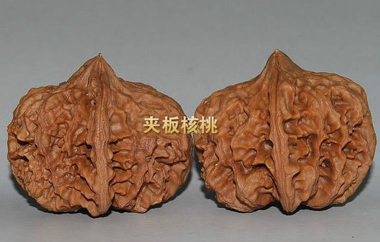 QQ图片20160718111852 QQ图片20160718111852