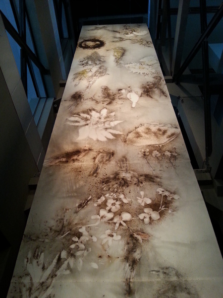 蔡国强 《巴西花鸟图》  火药、纸  2013年