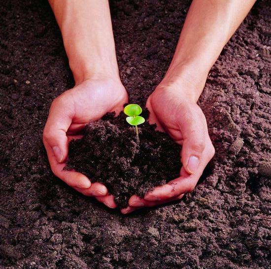 每天谈养生 真正的养生之道其实这么简单！