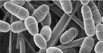 C2016-07-20zx601_P_1_1525_1158_2064_1437 C2016-07-20zx601_P_1_1525_1158_2064_1437