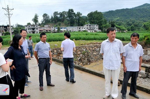 20160721114859962469 20160721114859962469