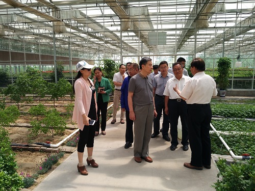 43deabfaae7842b7b02f6be8f024cc0b 43deabfaae7842b7b02f6be8f024cc0b