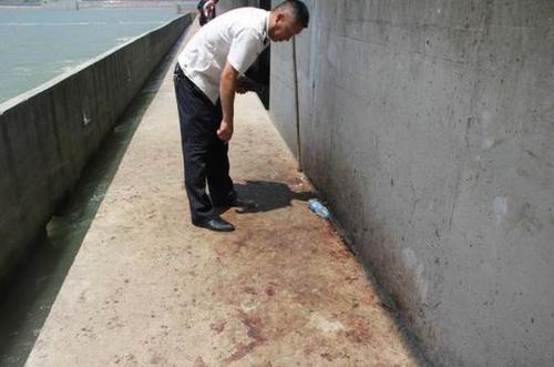 汉江数万斤鱼洄游产卵遇阻跃起撞大坝 遭哄抢