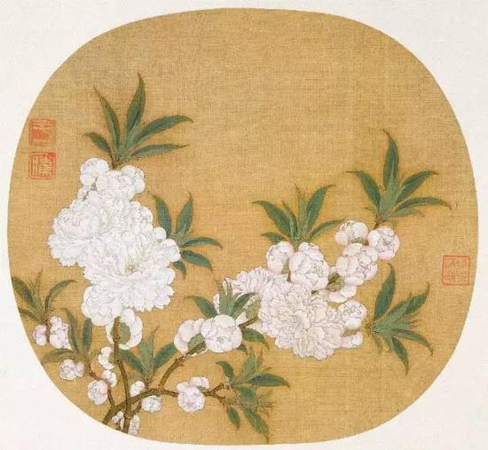 《杏花图》，宋，赵昌，绢本设色，25.2cm×27.3cm