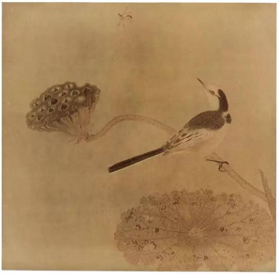 《疏荷沙鸟图页》 宋，绢本设色，纵25cm，横25.6cm