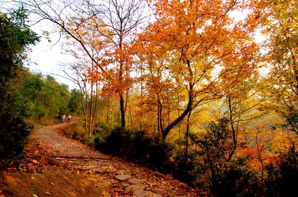 亭溪岭古道 亭溪岭古道