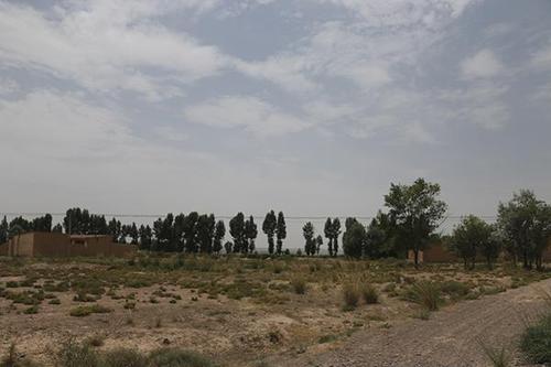 农村婚恋调查:性别结构失衡 有人一家仨光棍