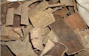 杜仲酒别随意喝！杜仲泡酒要注意这些