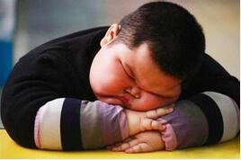 吃对了就能减肥？肥胖也是一种营养不良