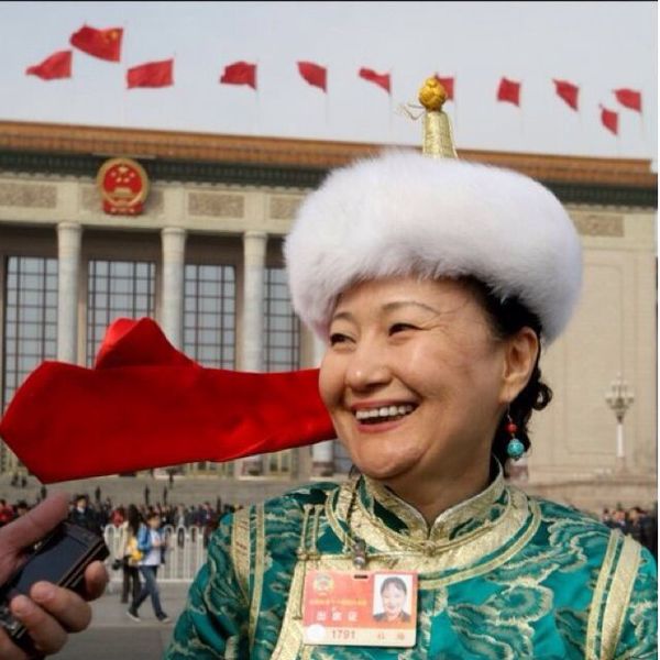 全国政协委员杜拉尔梅 全国政协委员杜拉尔梅