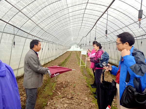 20160729140825859196 20160729140825859196