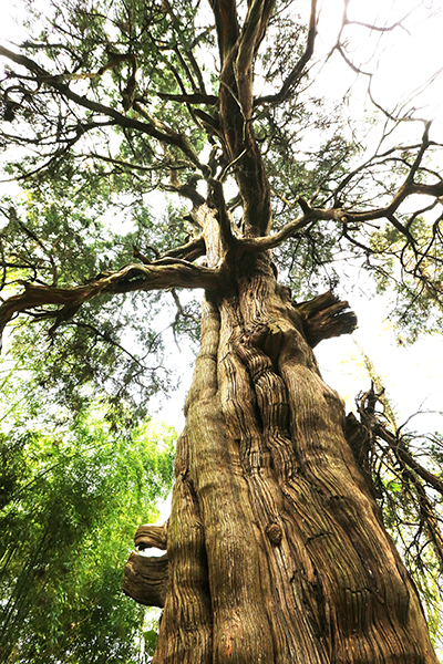 2016041149597853 2016041149597853