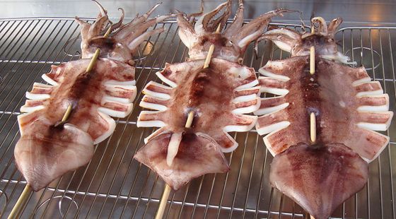 MAIN201608011040183711544895781 MAIN201608011040183711544895781