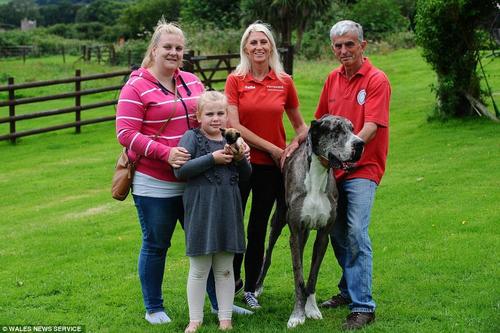 站在娜塔莉身边的是她6岁的女儿萨莫，她们与戴恩的主人威廉姆斯站在一起合影留念。