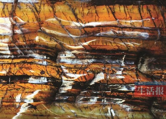 爱石成痴 横县男子上演广西版“疯狂的石头”(图)