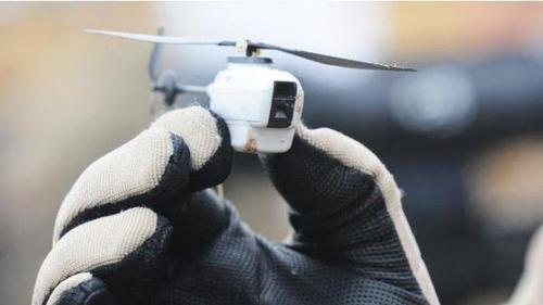 澳军批量采购微型无人机:重16克 长约10厘米(图)