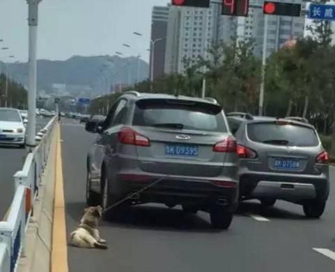 161G12037-2 161G12037-2