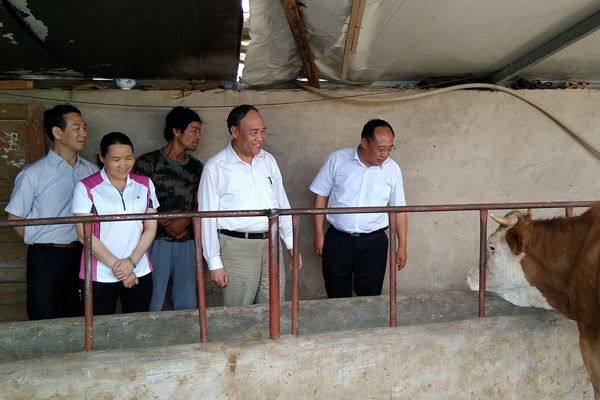 2016080315162162514 2016080315162162514