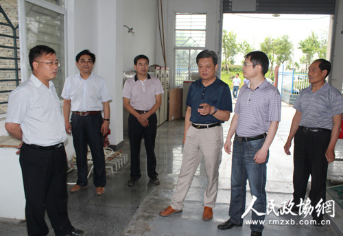 天长市政协督查城市抗涝工作