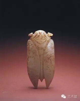 640.webp (9) 640.webp (9)