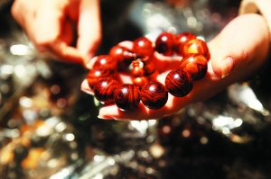 res23_attpic_brief res23_attpic_brief