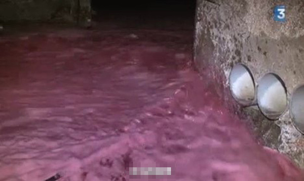葡萄酒洪水 葡萄酒洪水